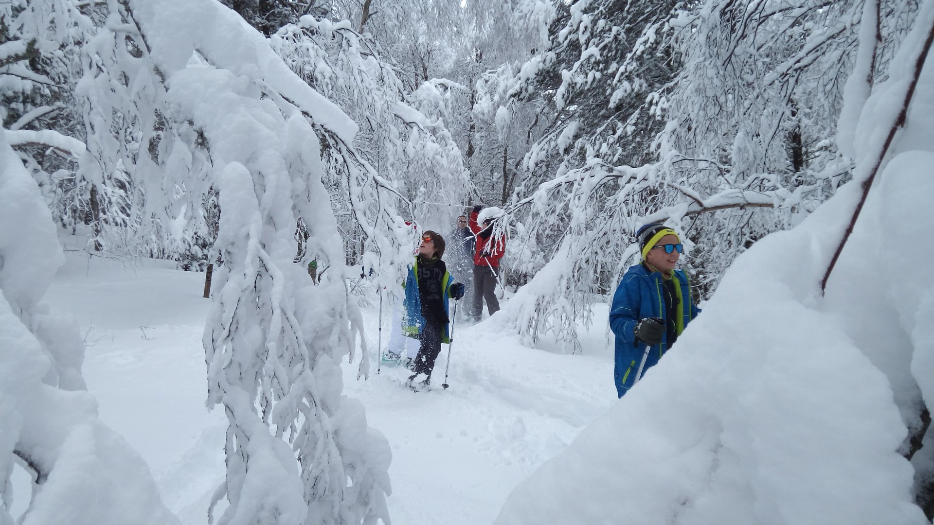 Snowshoeing routes through Cerdagne